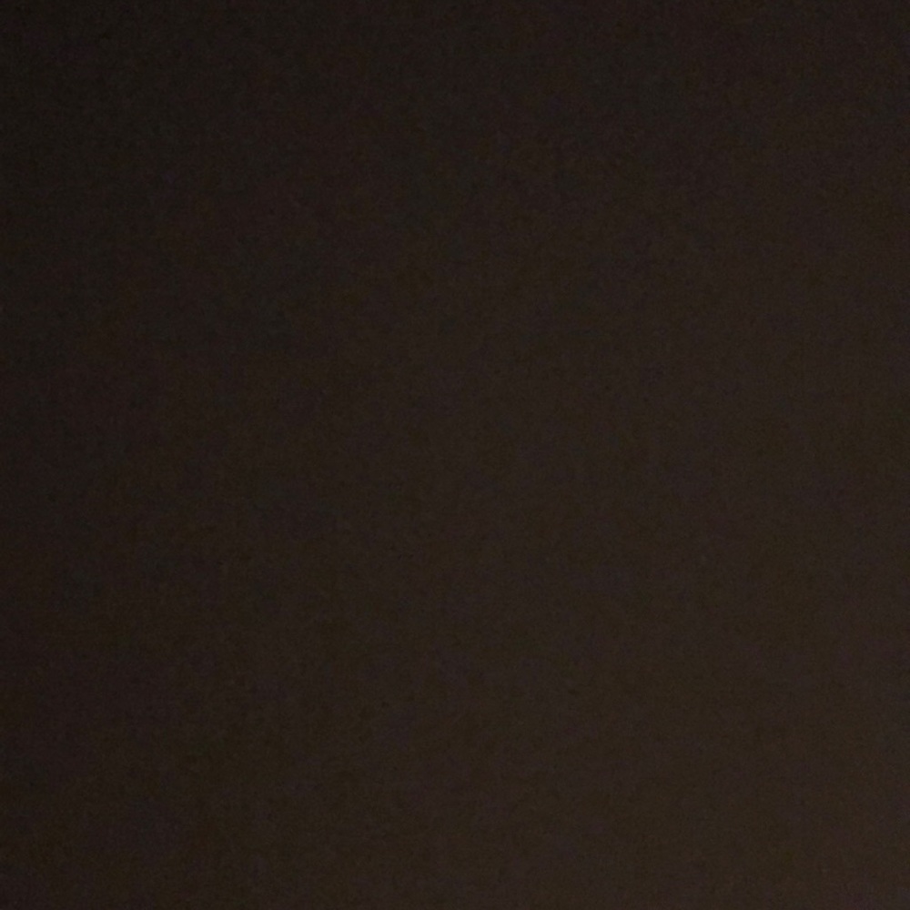 Meet your Posher, Gus